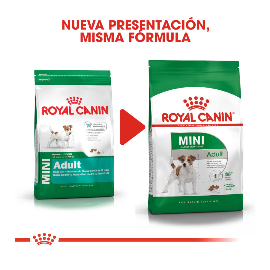 Royal Canin Adult Mini ração para cães , , large image number null
